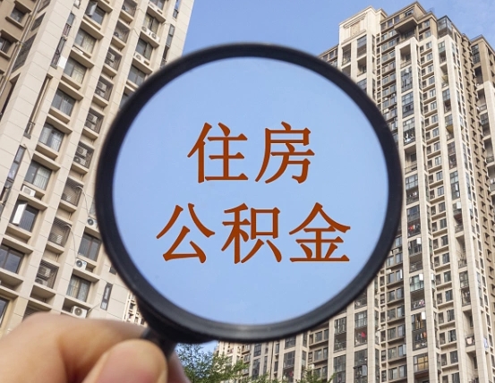 陆丰退休后查不到公积金明细了吗（退休后公积金查询不到原因）